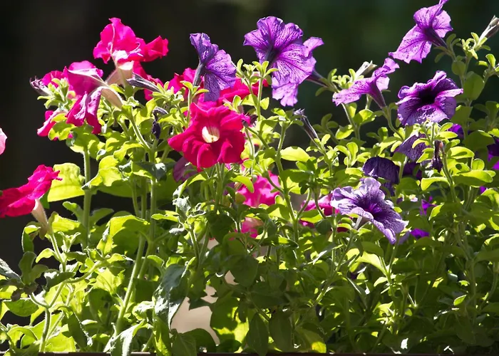 Lejlighed Liliengrund Eisenach